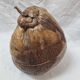 Ice bucket, stuffed coconut