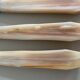 Set of 12 vintage knives