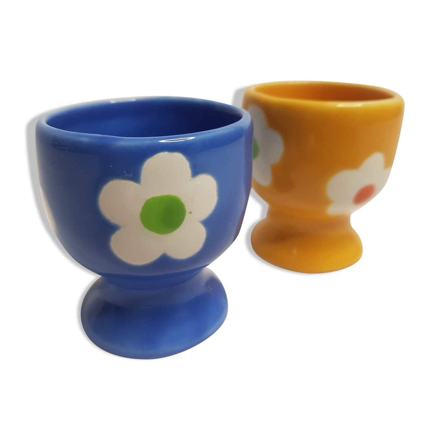 Pair of blue and yellow cockroaches with floral motifs