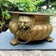 Large brass lion planter 19th century