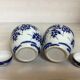 Paire de vases fleurs bleues