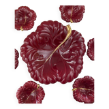Red cabbage leaf slip service