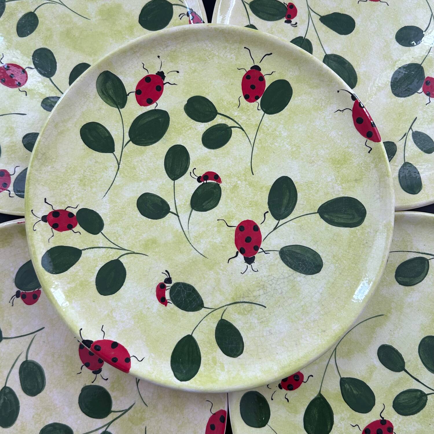Service de 5 assiettes décor coccinelles