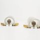 Large pair of 1970s Murano glass and brass wall sconces by Hillebrand