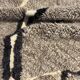 Modern living room rug 215x300 cm - Handmade Berber wool rug - Luxury rug - Modern ethnic design - Eco-friendly wool rug