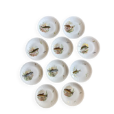 Set of 10 antique flat plates in porcelain, decorated with fish.
