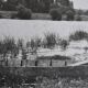 Anonymous film photo river and canoe circa 1970