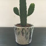 Cracked flowerpot