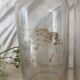 Old glass bottles pharmacy vials