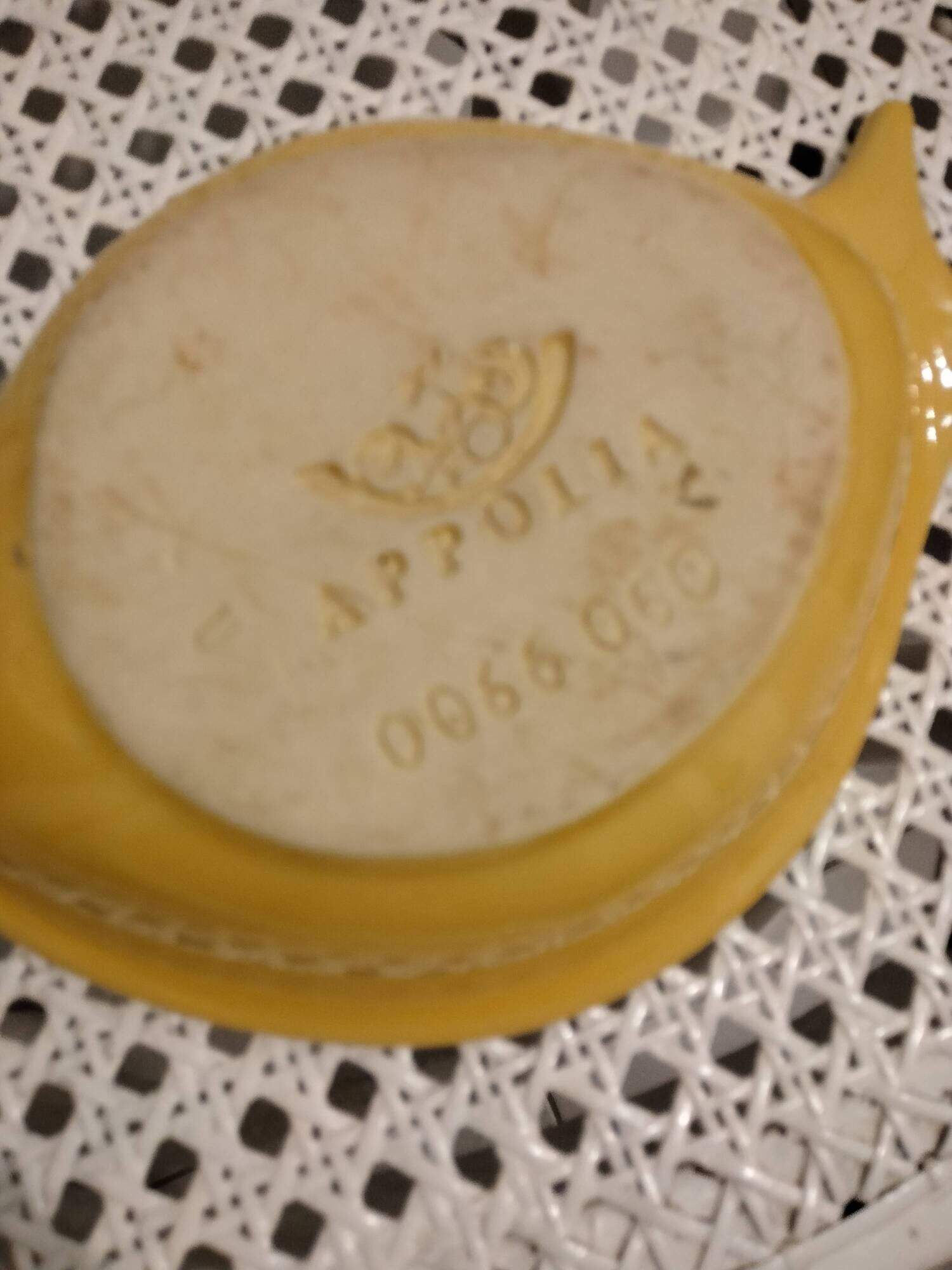 Plat ou moule de cuisson vintage en forme poisson Appolia France