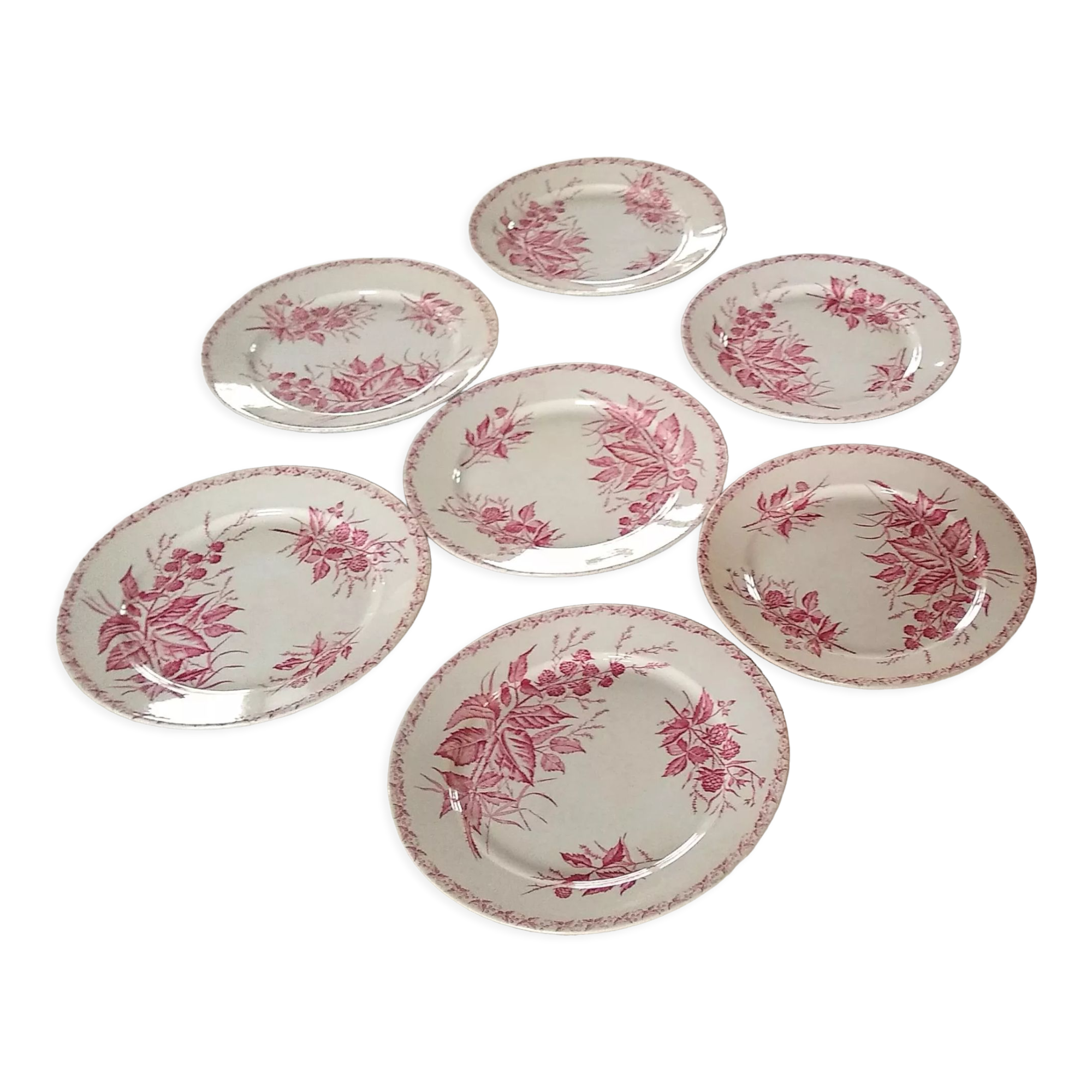 7 flat plates pattern Blackberry from Badonviller