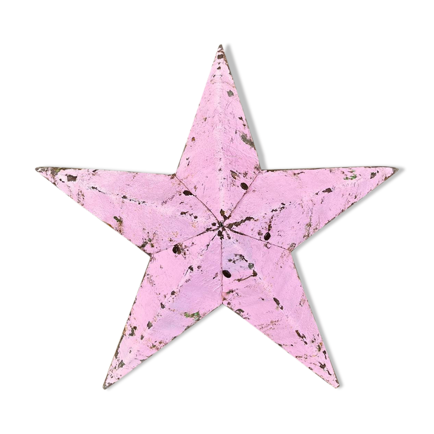 Star amish pink 30cm