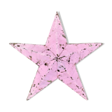 Star amish pink 30cm