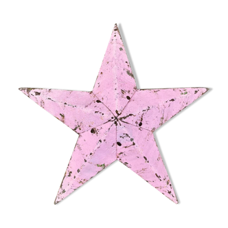 Star amish pink 30cm