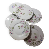 Vintage floral dessert plates