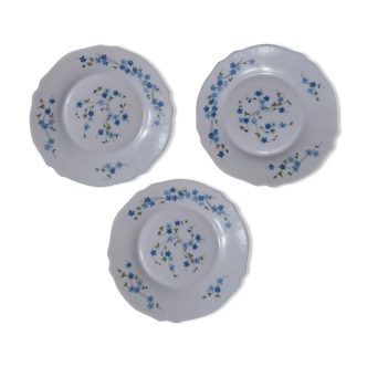 3 dessert plates arcopal myosotis