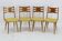 1960s Set of Four Restored Rare Dining Chairs, Czechoslovakia