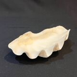 Grand vide-poches coquillage Bénitier naturel années 70 curiosités