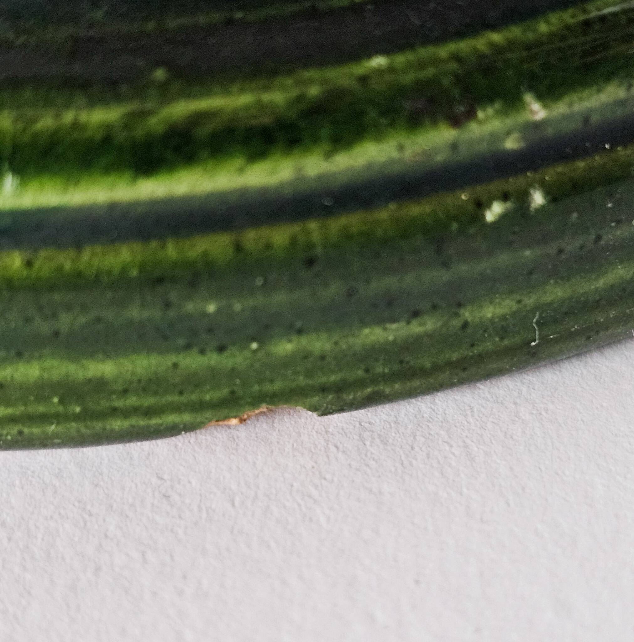 Bitossi voor Bergboms & Co - Aldo Londi - tafellamp - groen/wit - keramiek - 60's