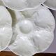6 vintage oyster plates from the Gien factory