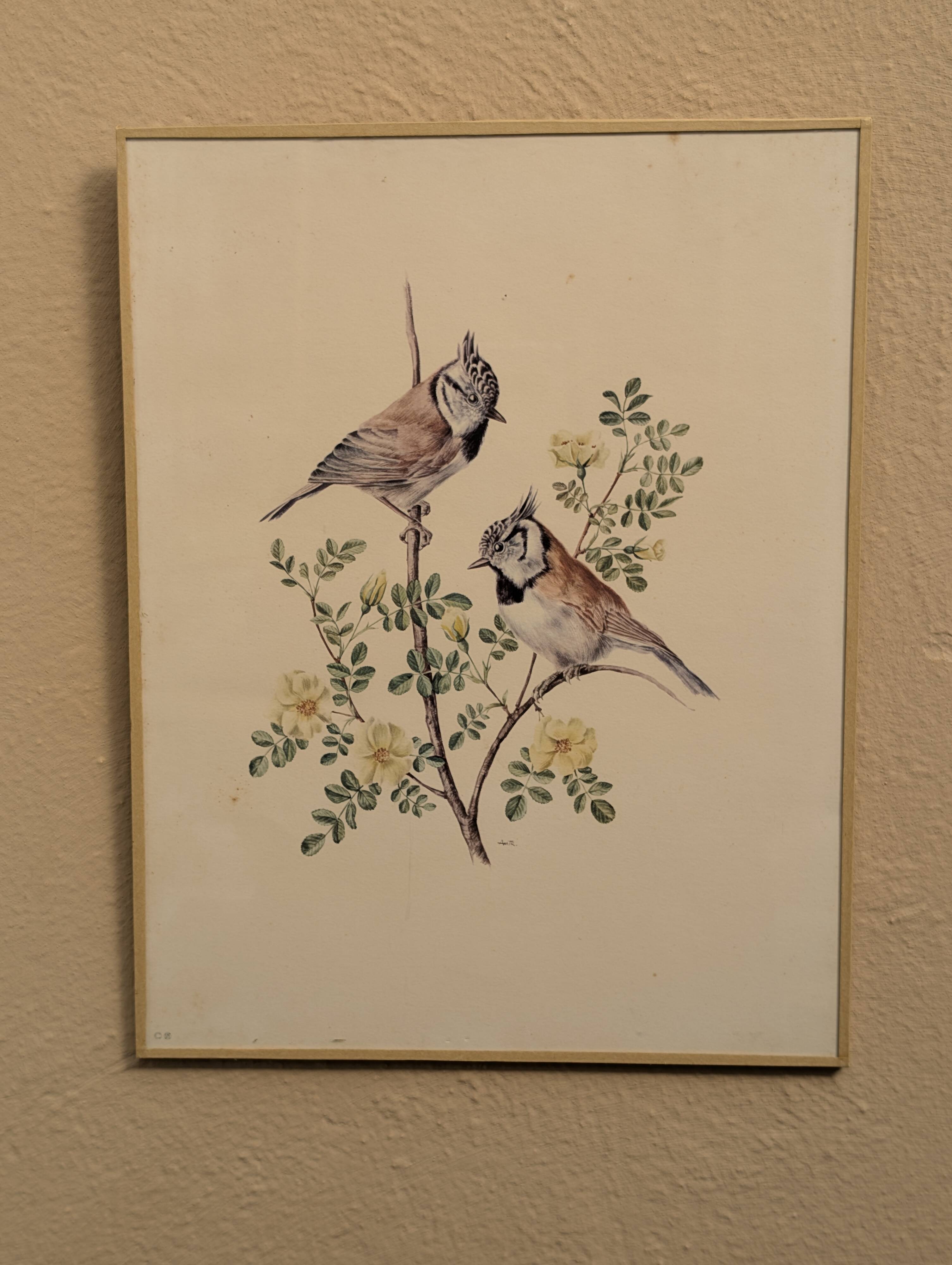 Ornithological board