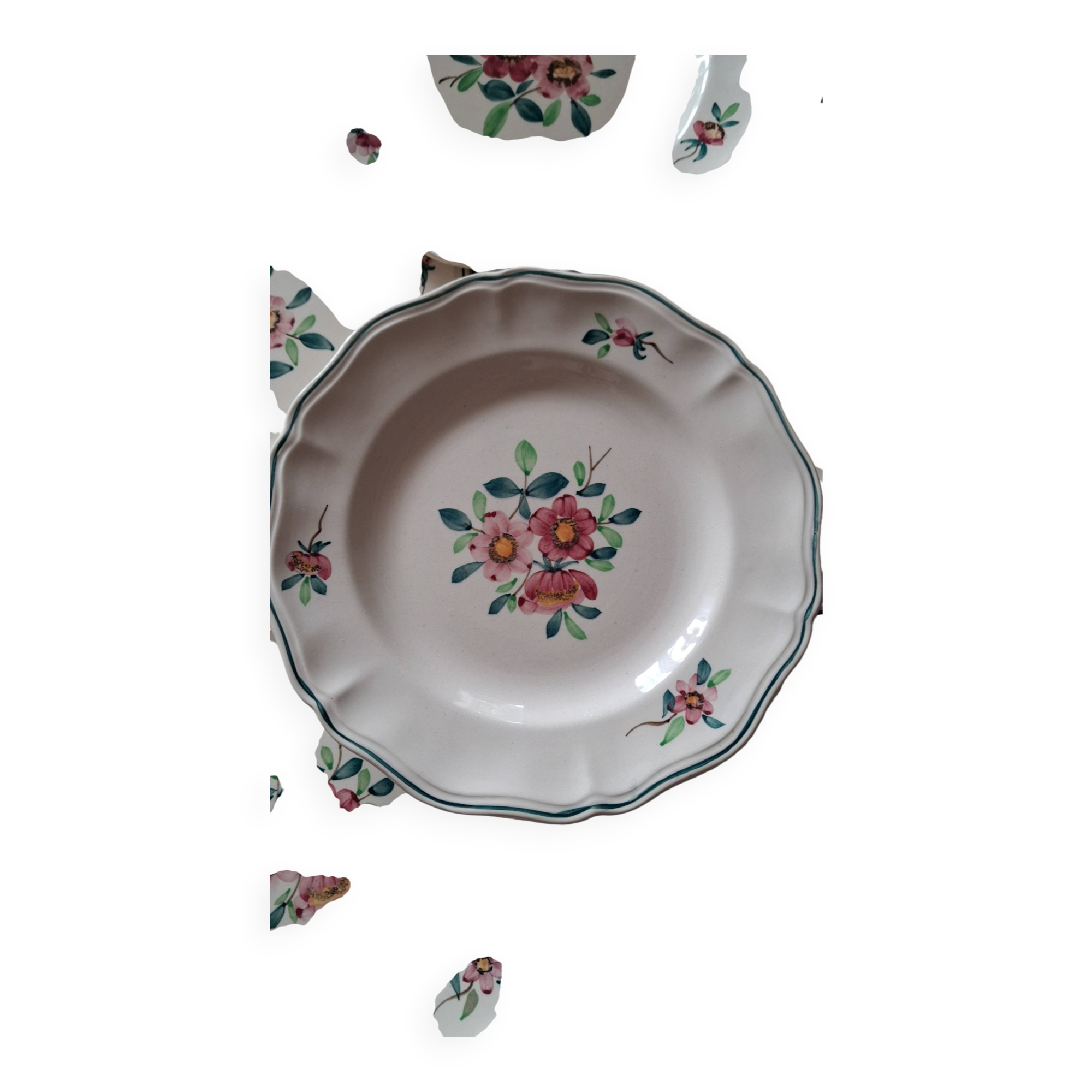 Amazonas plates Sarreguemines