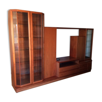 Roche Bobois library