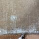 Peinture nature morte
