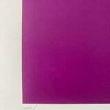 Poster, photolithography, Jim Bird, tribute to Vasarely, 70s