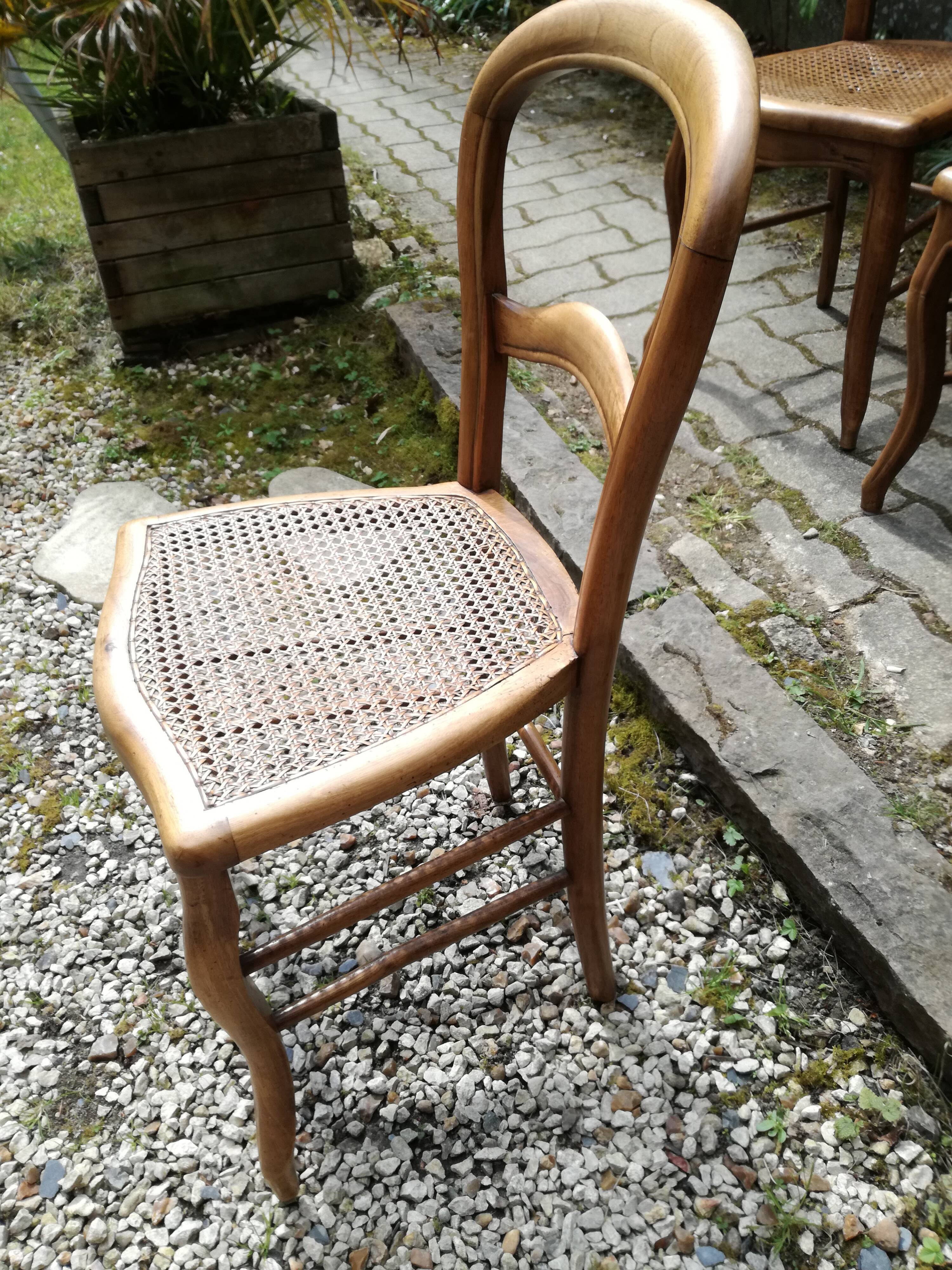 Louis Philippe chairs in canning