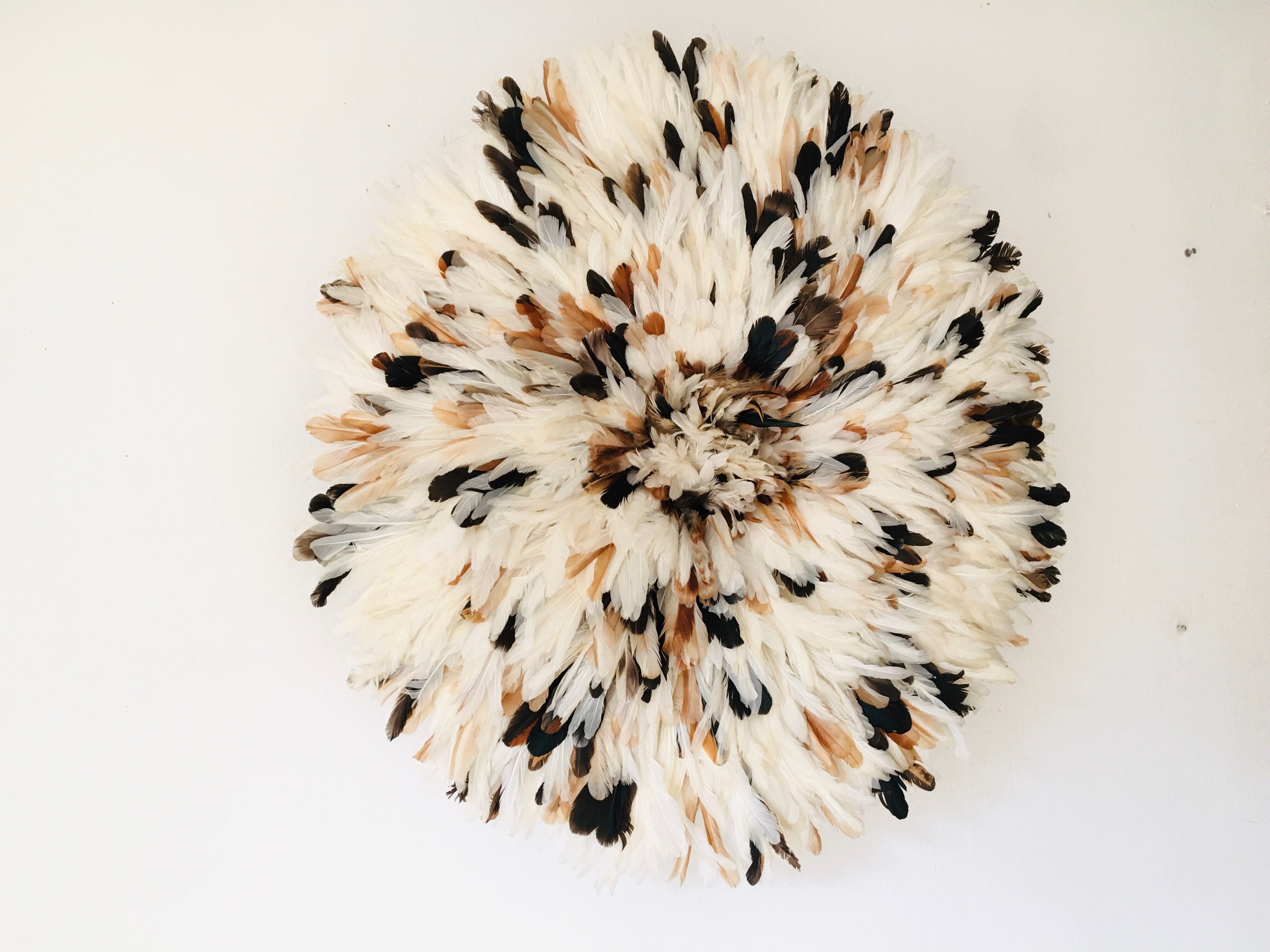 Speckled white jujuhat 75 cm