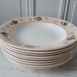 Lot of 9 hollow plates Salins model Simone