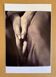 Vintage black and white art photo – Timeless elegance