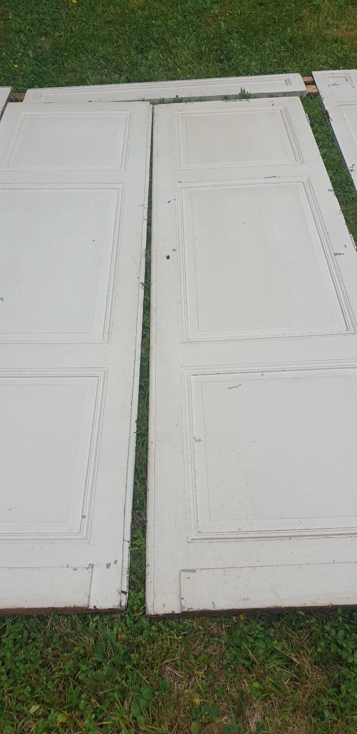 Pair of doors and their frame