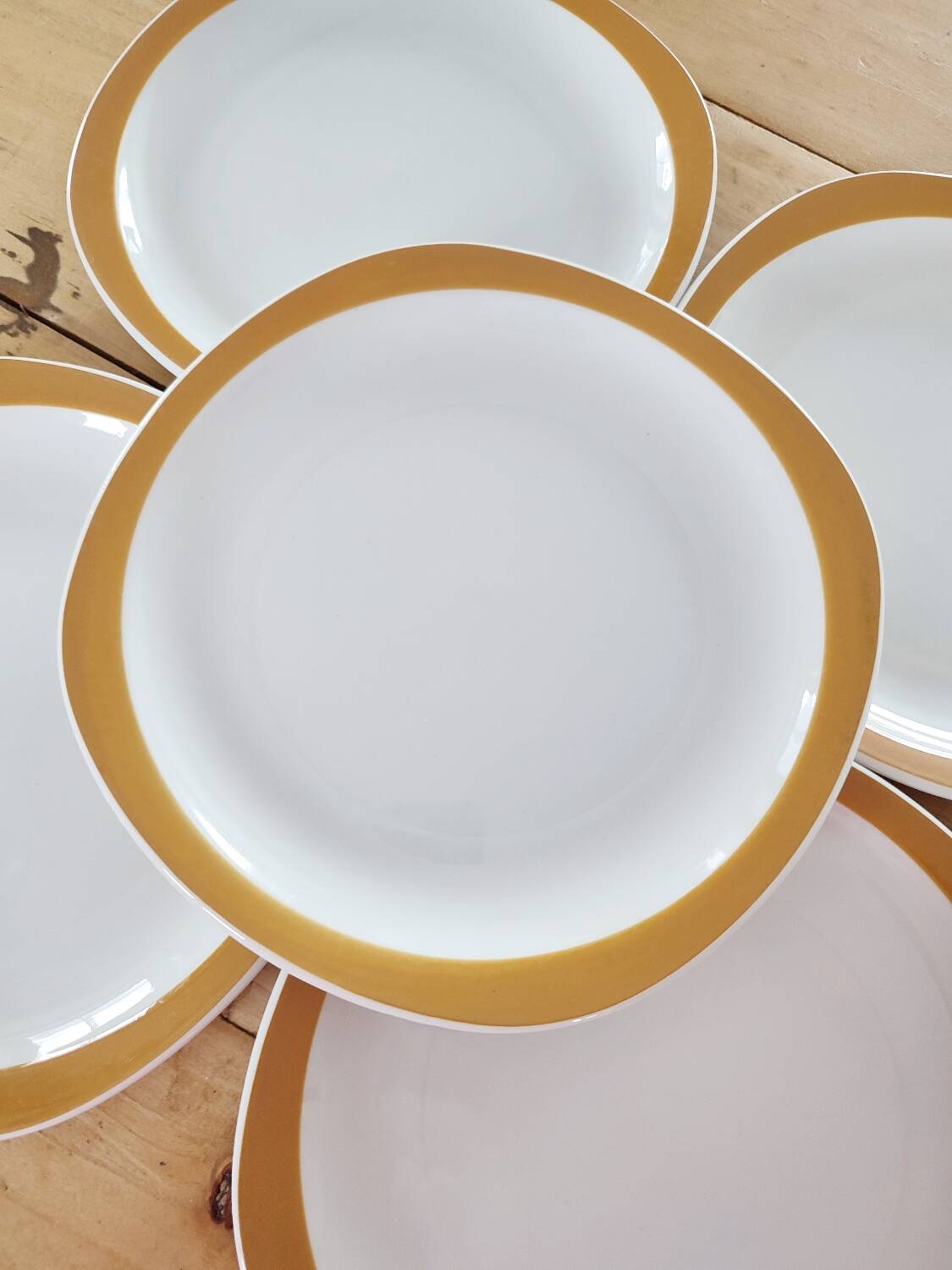 Lot de 6 assiettes porcelaine Sarreguemines