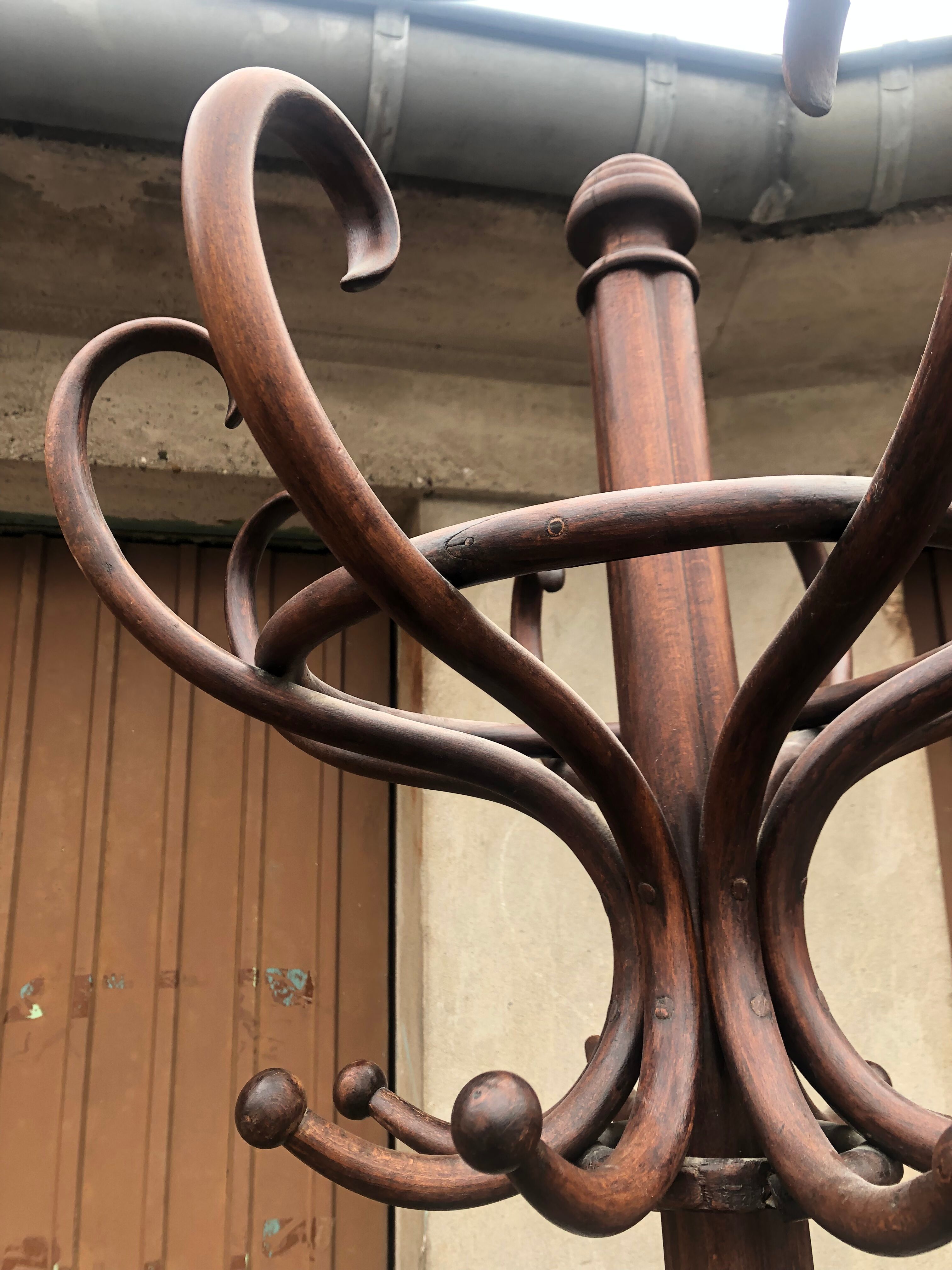 Coat rack parrot Thonet early twentieth art deco