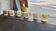 Lot de 6 verres à liqueur