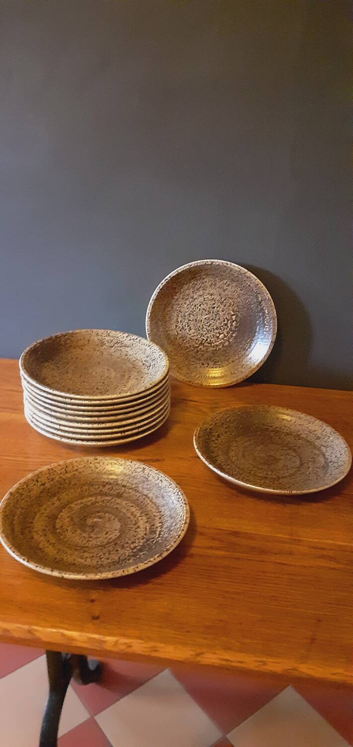 12 assiettes plates en grès de Salins les Bains année 60