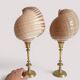 Pair of natural shells on a mid-century Swedish Skultuna brass candelabrum.