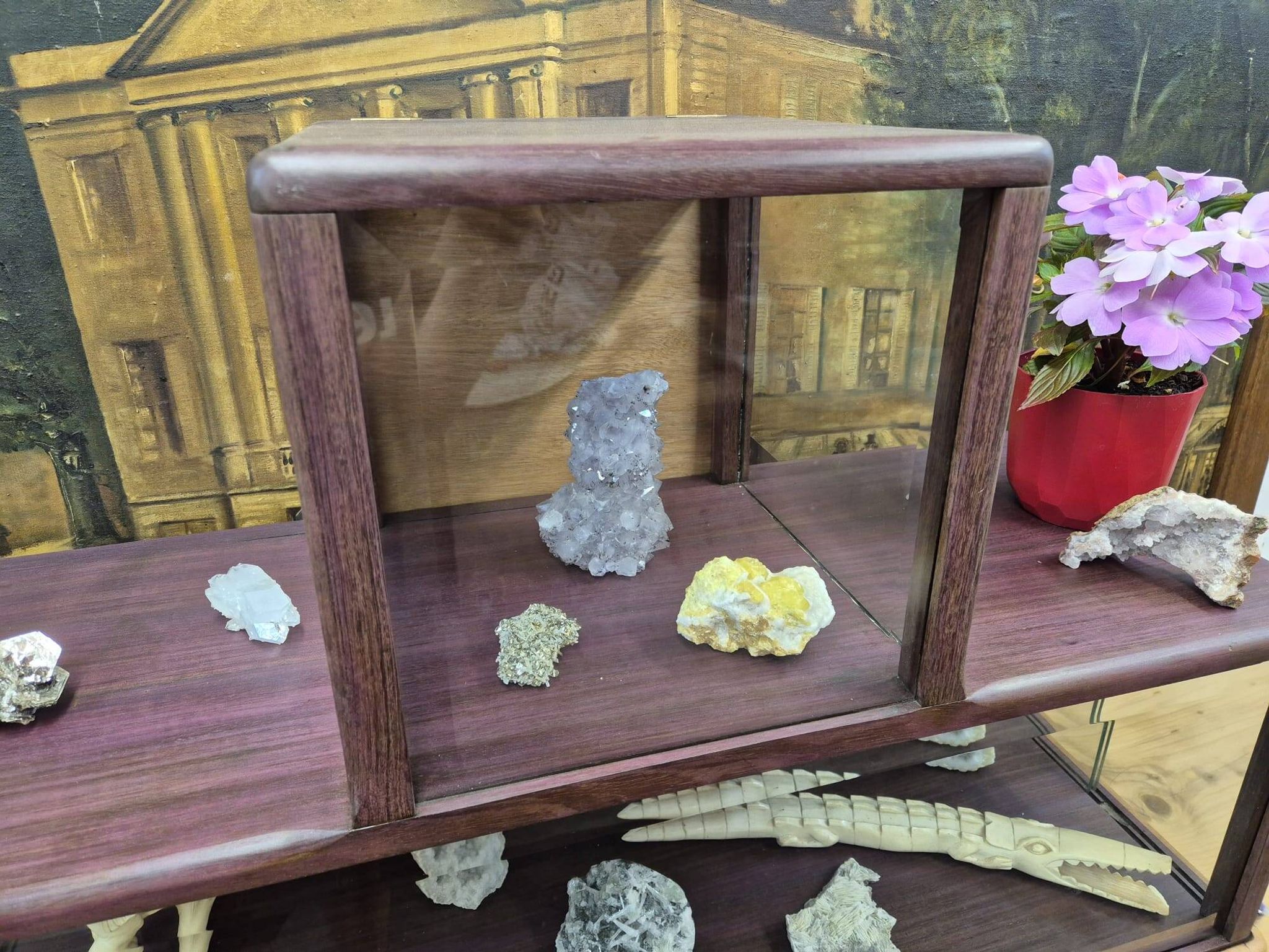 Antique amaranth display cabinet from the 1930s.