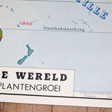 Old school map the world - Oceania