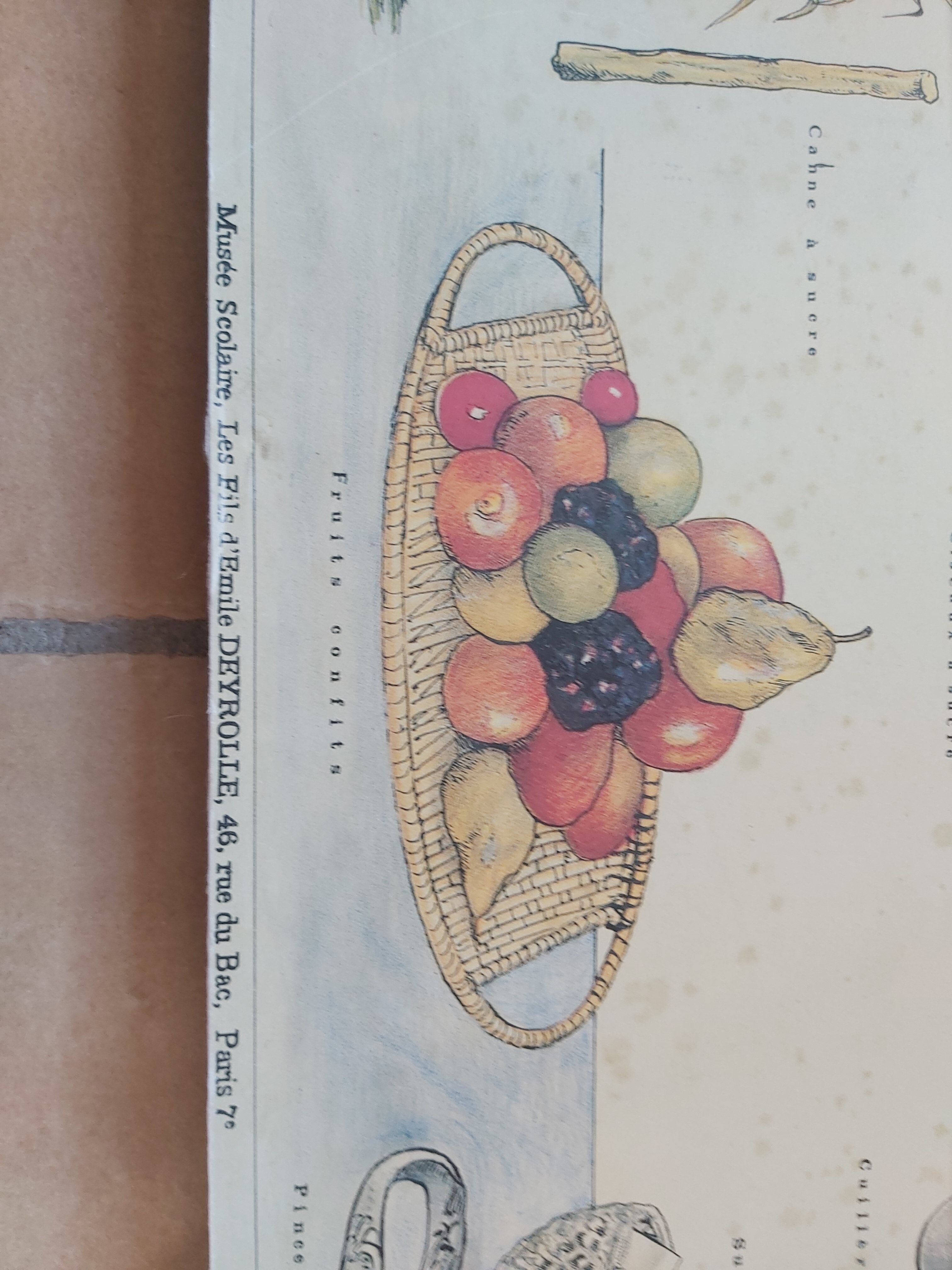 Vintage Deyrolle cardboard school poster