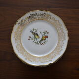 Lot de 5 assiettes à dessert "oiseaux différents"