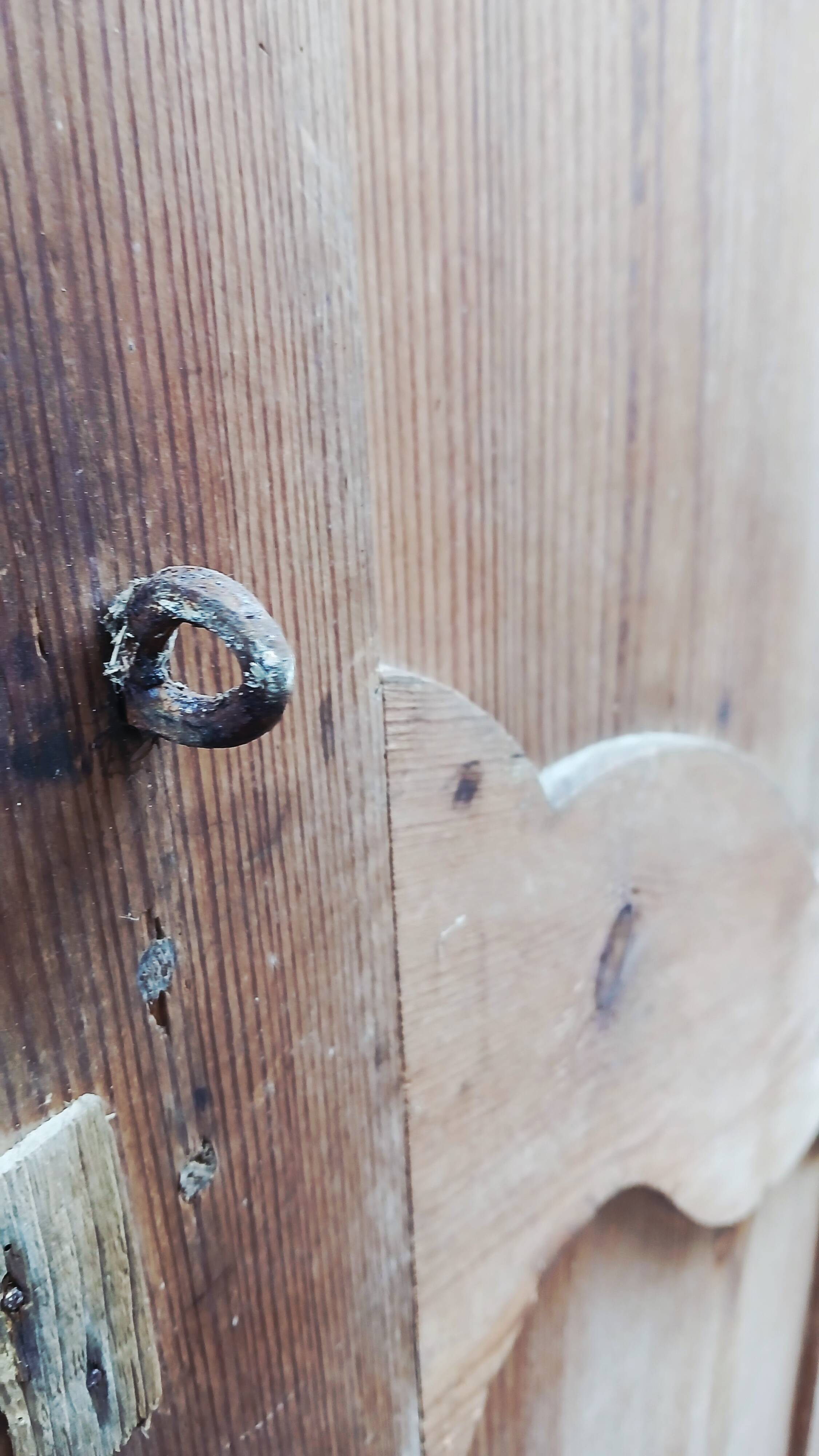 Pair of old cupboard doors