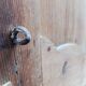 Paire de portes  de placard anciennes
