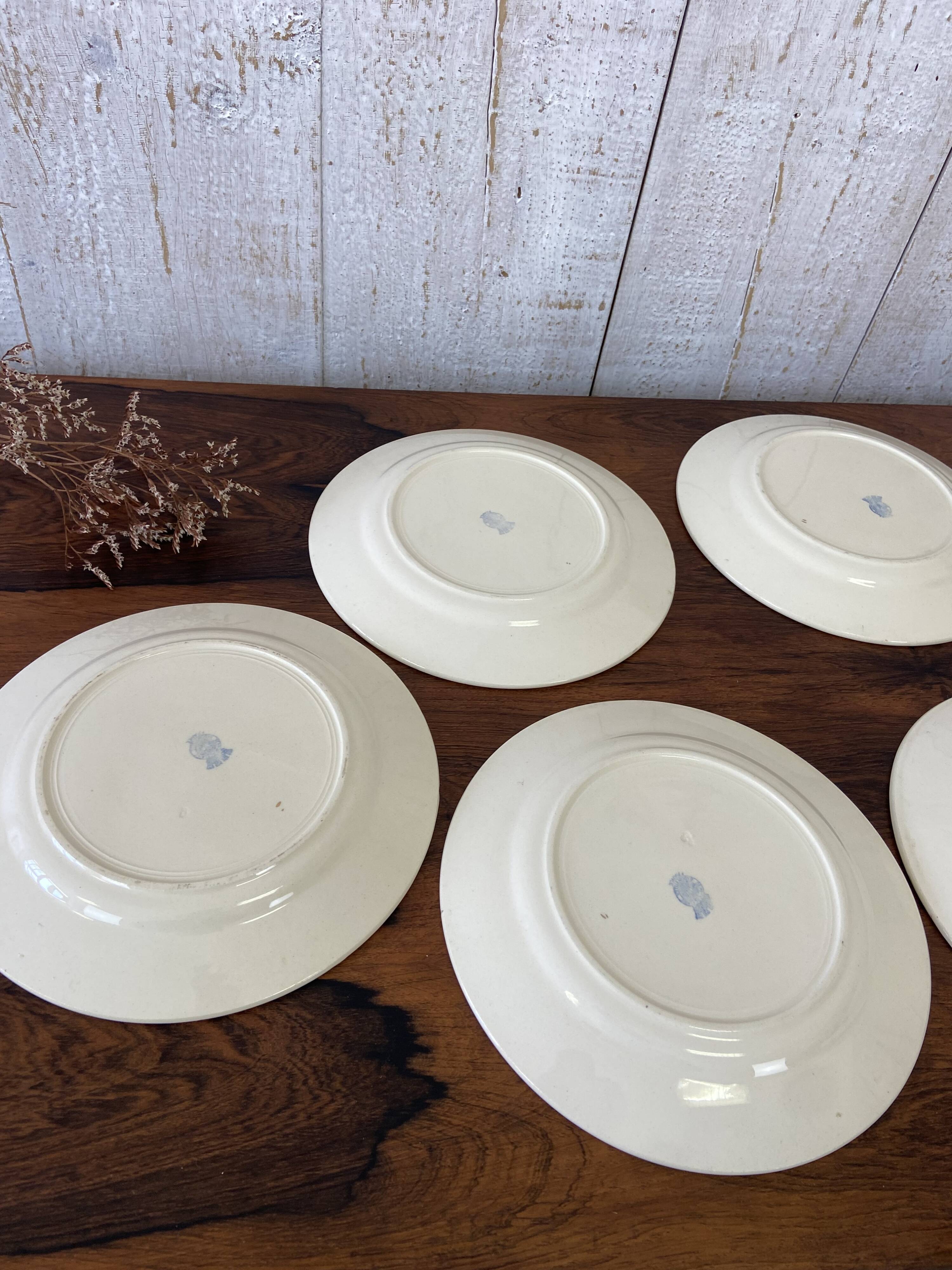 10 plates, 20cm diameter, "Rose" pattern