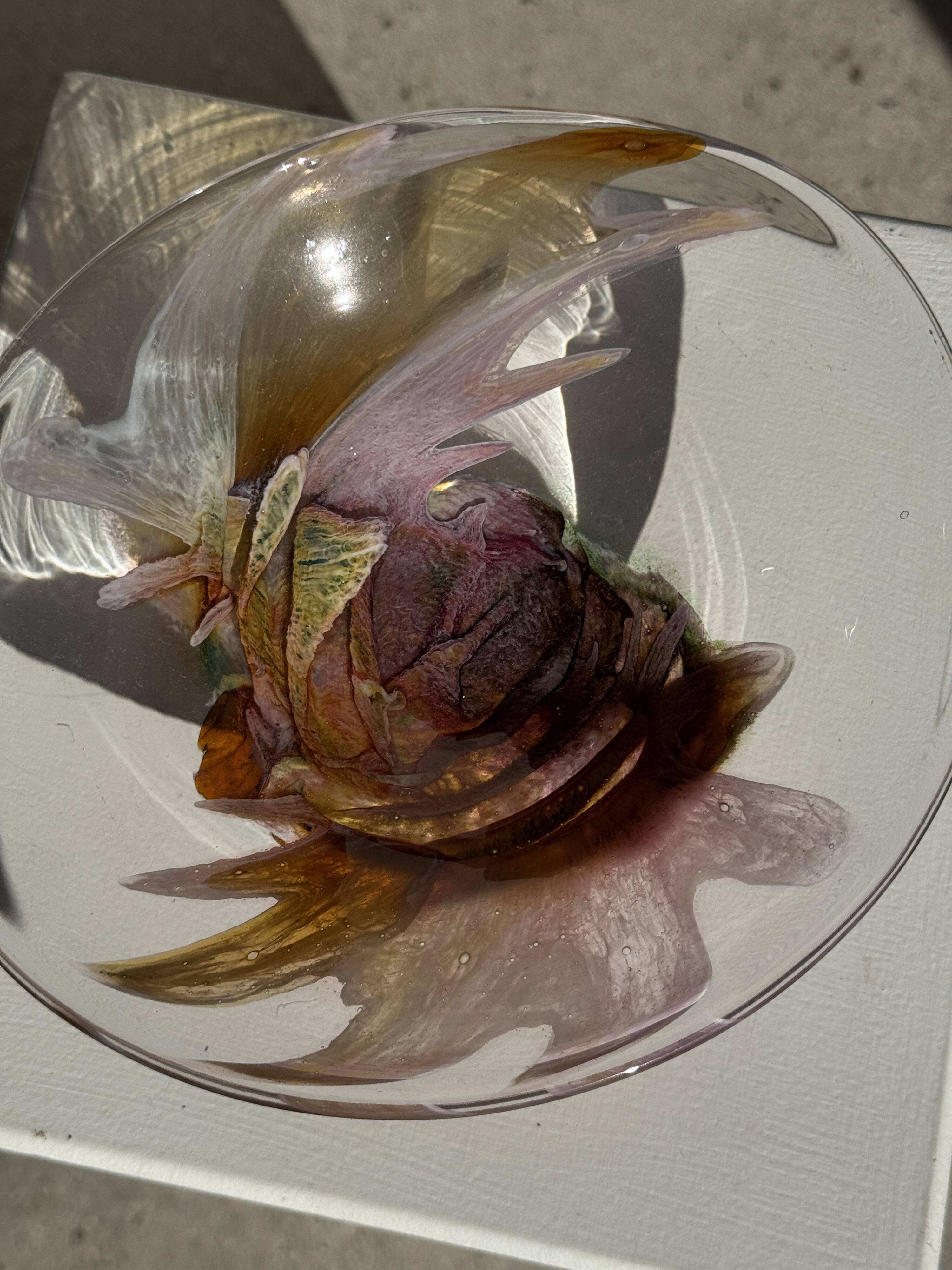 Contemporary pink blown glass bowl Carlos Vieira D21