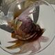 Contemporary pink blown glass bowl Carlos Vieira D21