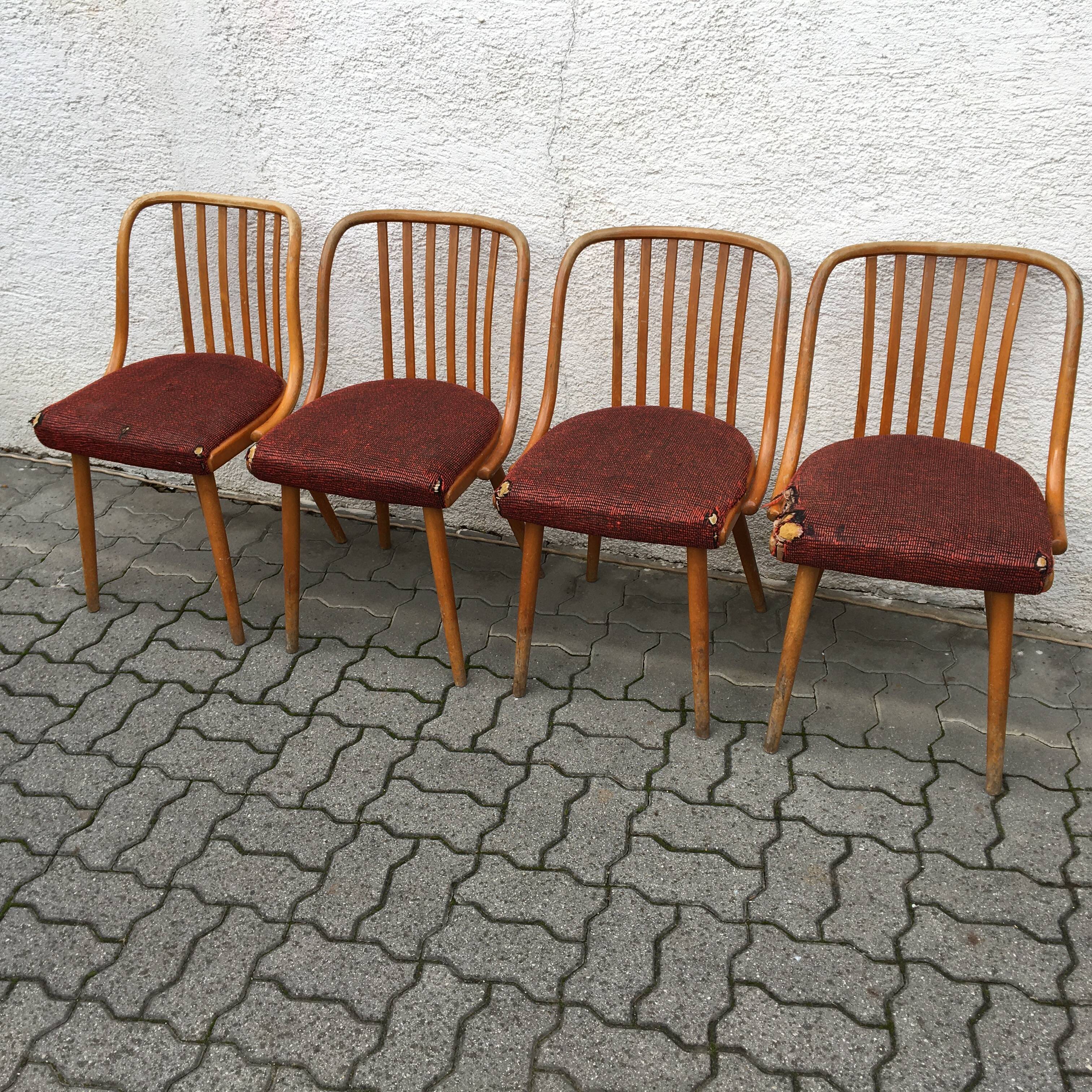 Antonin Suman chairs 60s Czechoslovakia