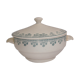 Soupière Digoin France vintage Sarreguemines